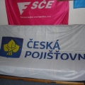 Reklamní vlajky - Česká pojišťovna